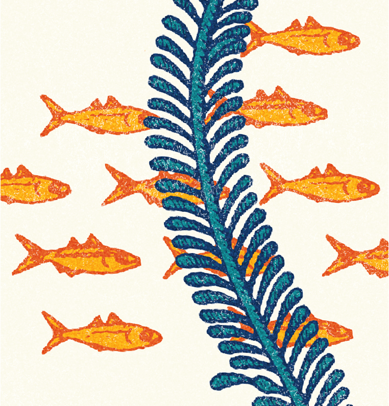 Illustration detail of a Kelp Forest for Google