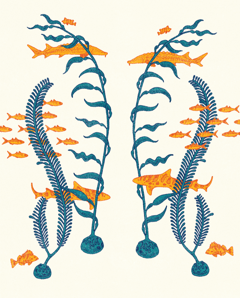 Illustration of a Kelp Forest for Google