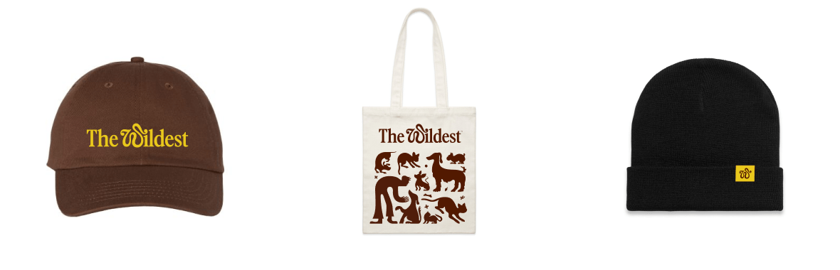 Dad cap, tote bag and beanie swag designs with The Wildest branding.