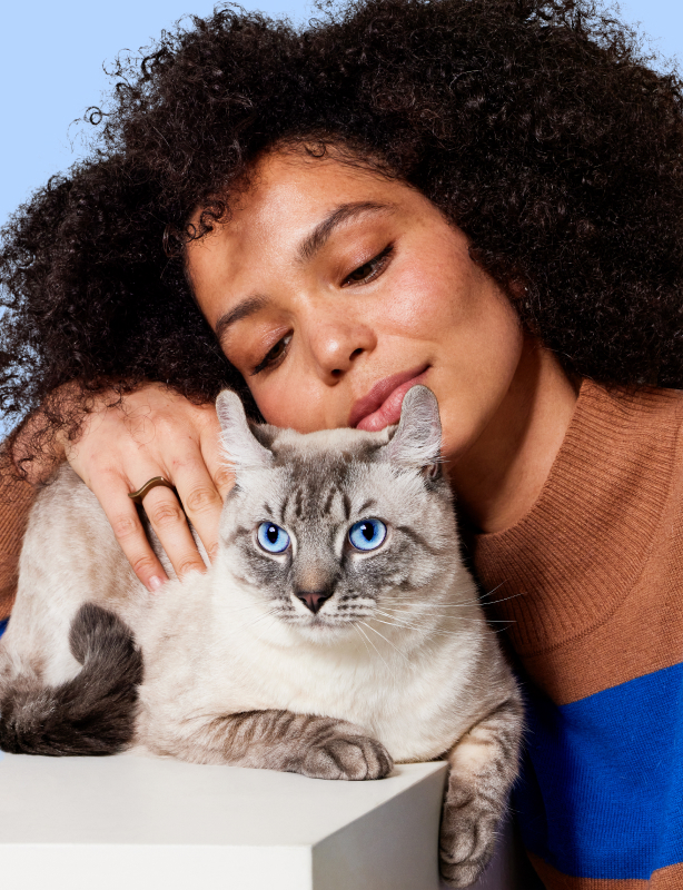 Wisdom Panel art direction project preview