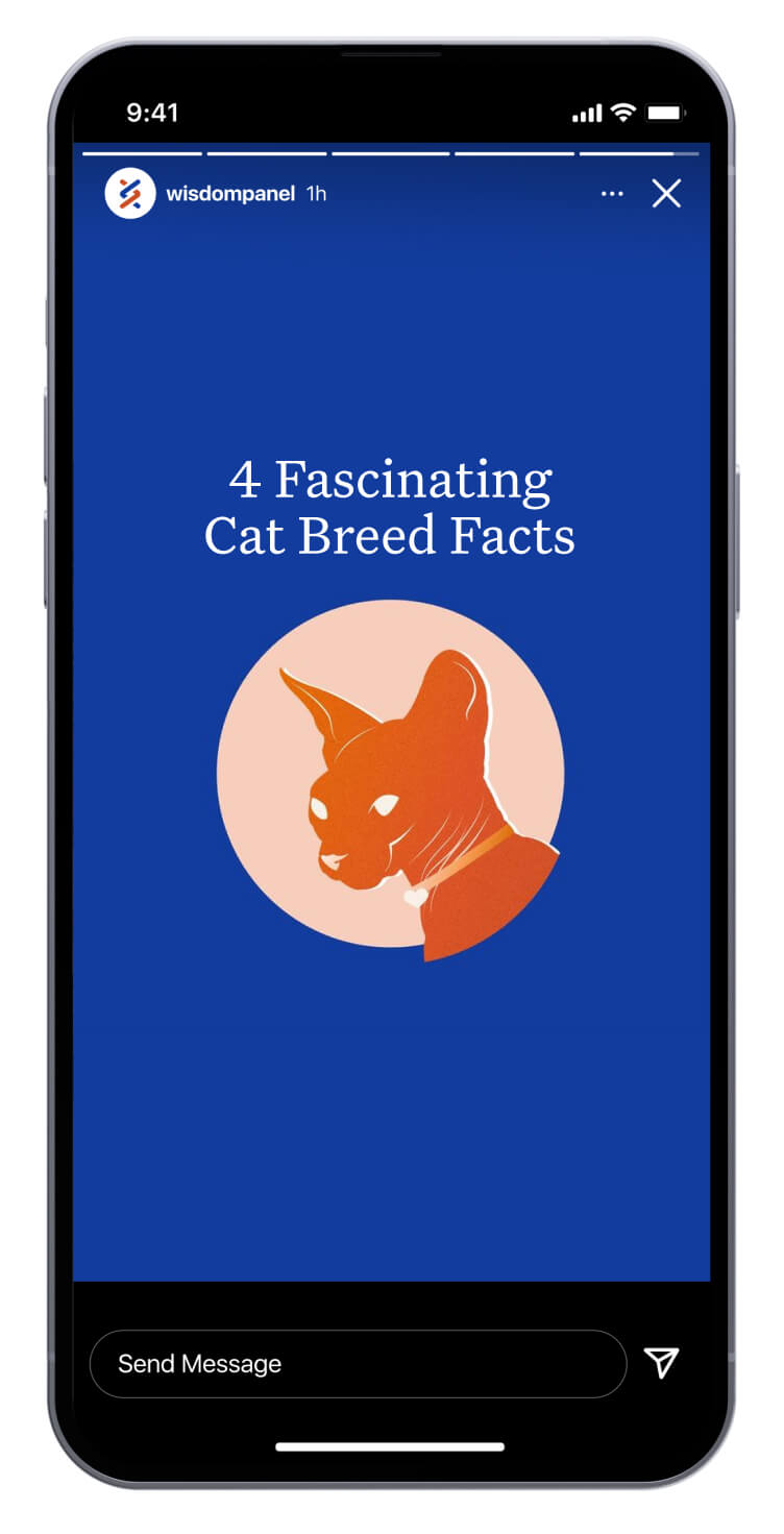 Wisdom Panel social design sample 1.